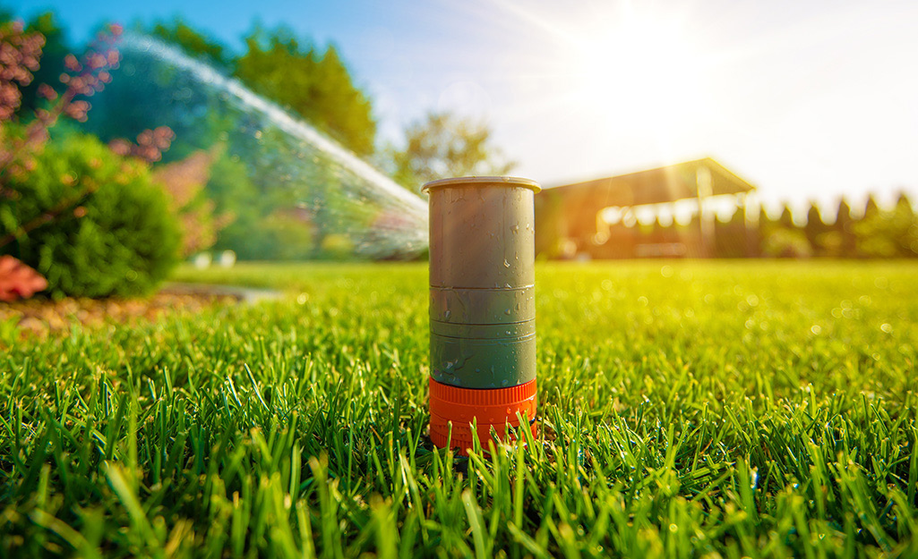 how to fertilize lawn